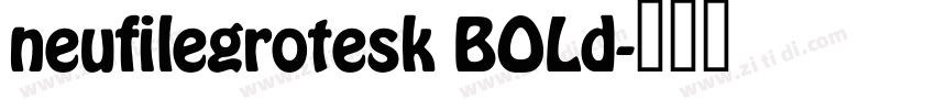 neufilegrotesk BOLd字体转换